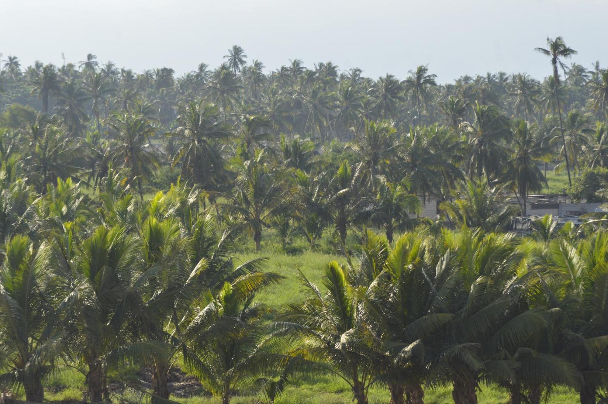Beautiful Salalah Beach Apartments - 2 By Beautiful Salalah Tours Buitenkant foto